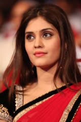 Express Raja Audio Launch